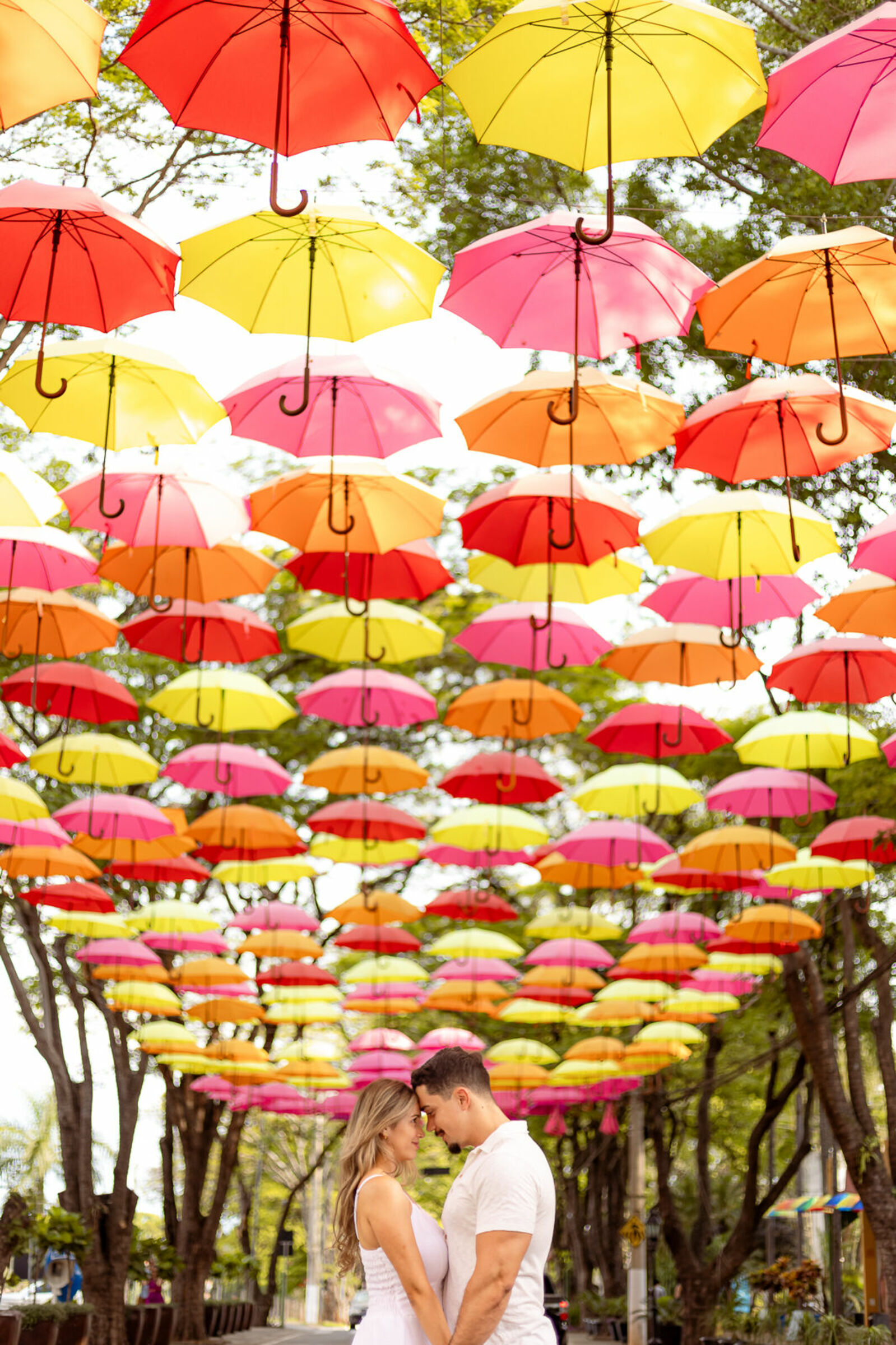 Foto de JULIANO ROSSETTI 2